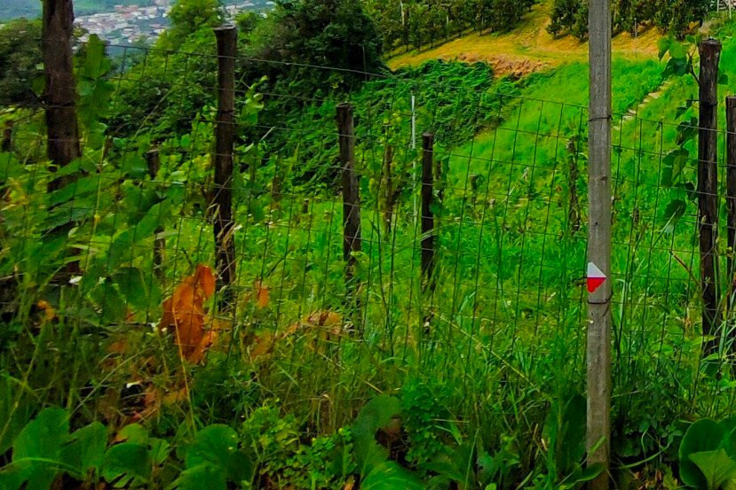 Percorso Culturale Tirolo