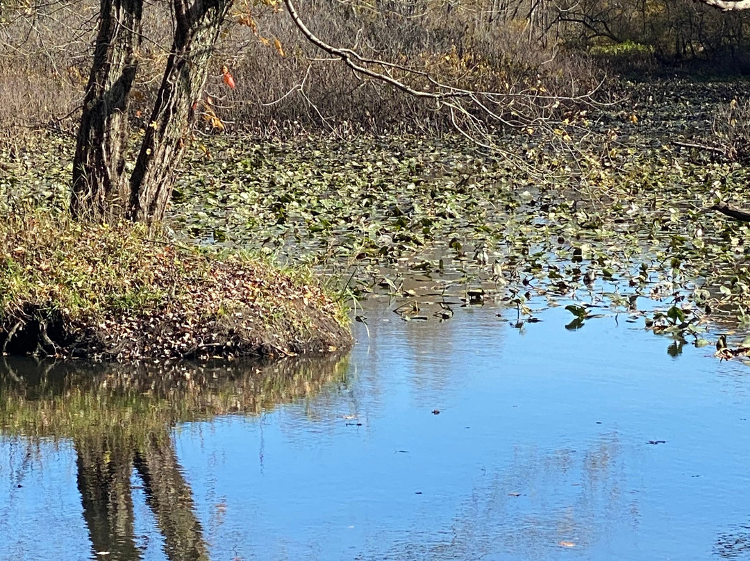 Eldon Russell Park-Burton必去景点