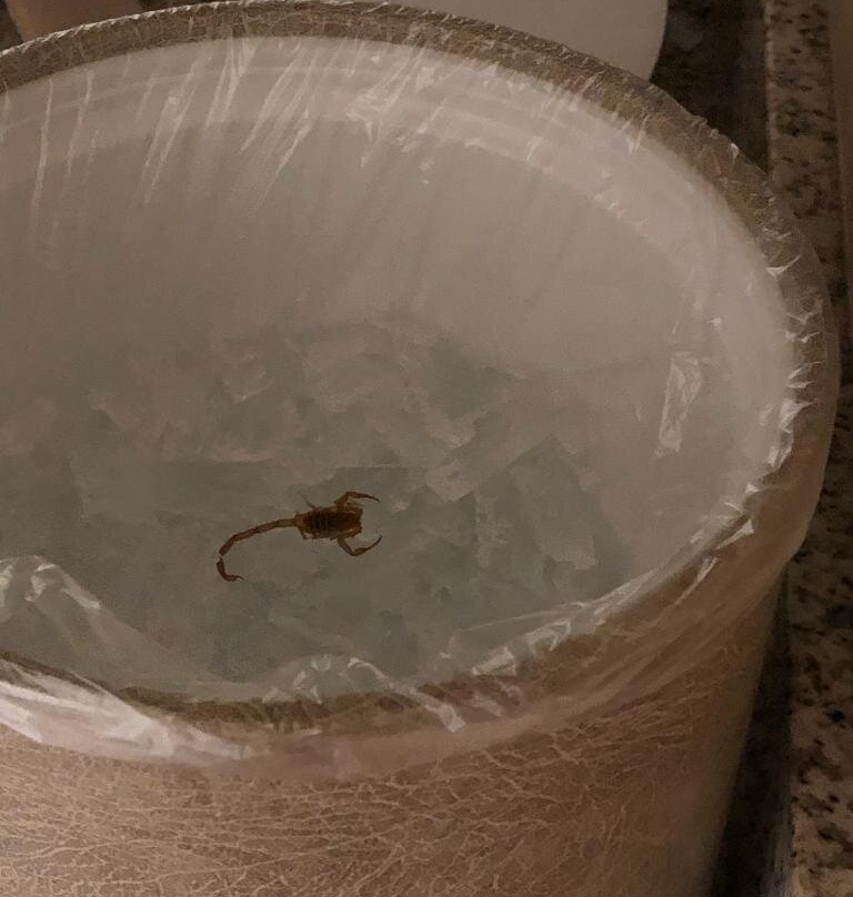 珊瑚山贝斯特韦斯特酒店主图