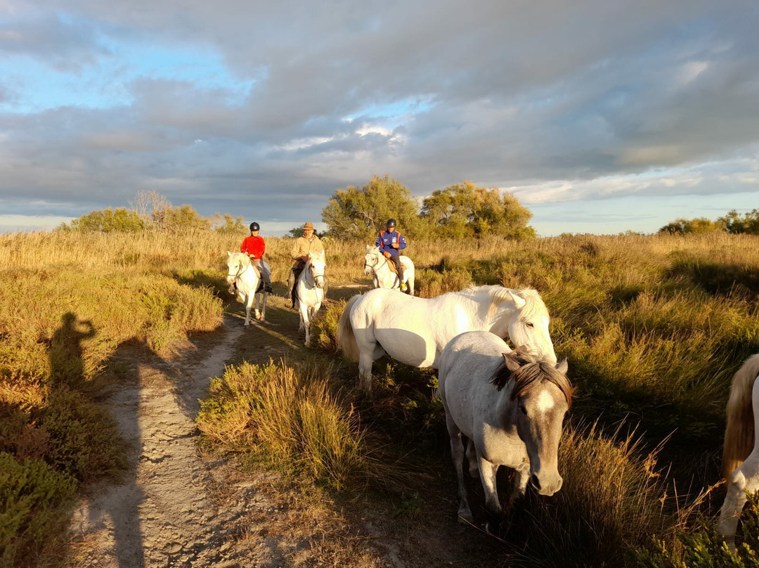 Domaine de Maguelonne景点图片