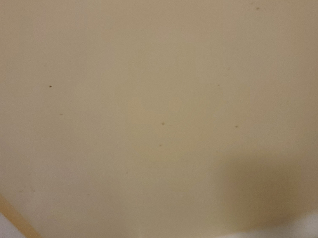 The Springs Motel主图