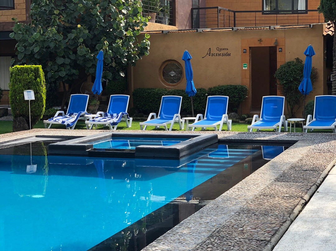 Quinta Ascension主图