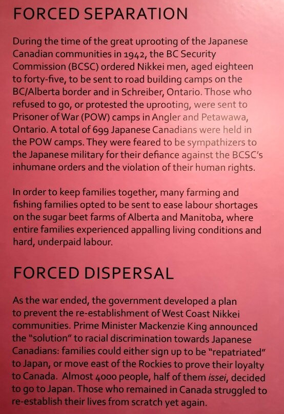 Nikkei National Museum & Cultural Centre-本那比必去景点