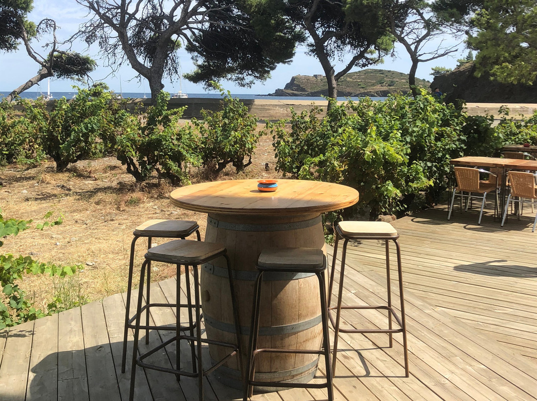 Le Clos de Paulilles景点图片