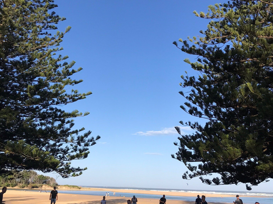 Moonee Beach Nature Reserve景点图片