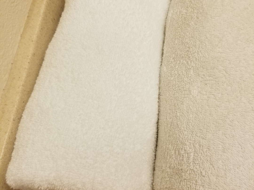 Super 8 by Wyndham Columbia East主图