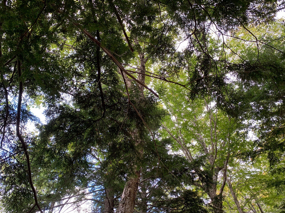 Ben Eoin Provincial Park景点图片