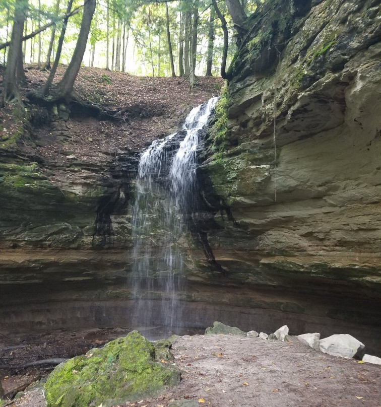 Tannery Falls-缪尼辛必去景点