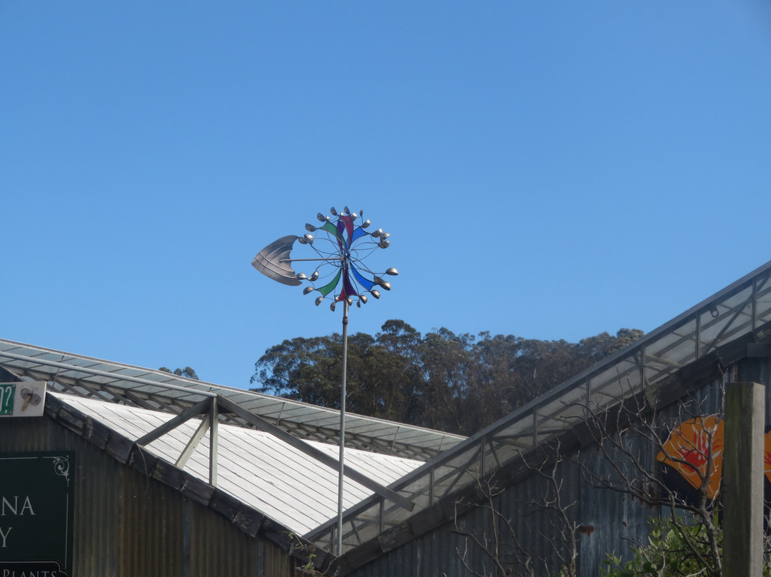 Pastorino Farms-半月湾必去景点