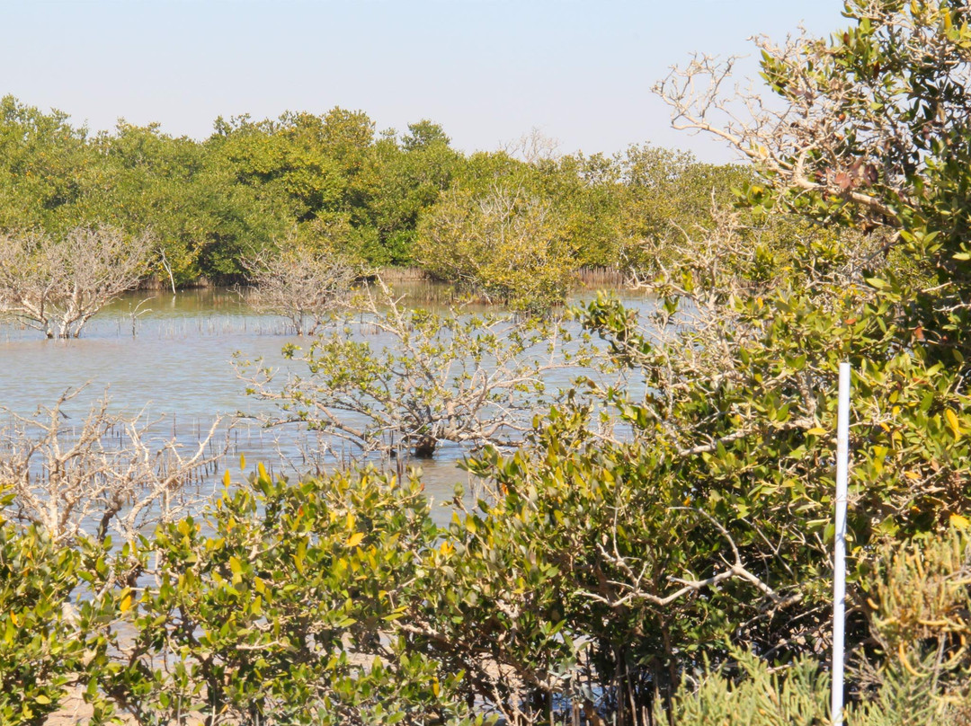 Al Thakhira Beach-Al Khor必去景点