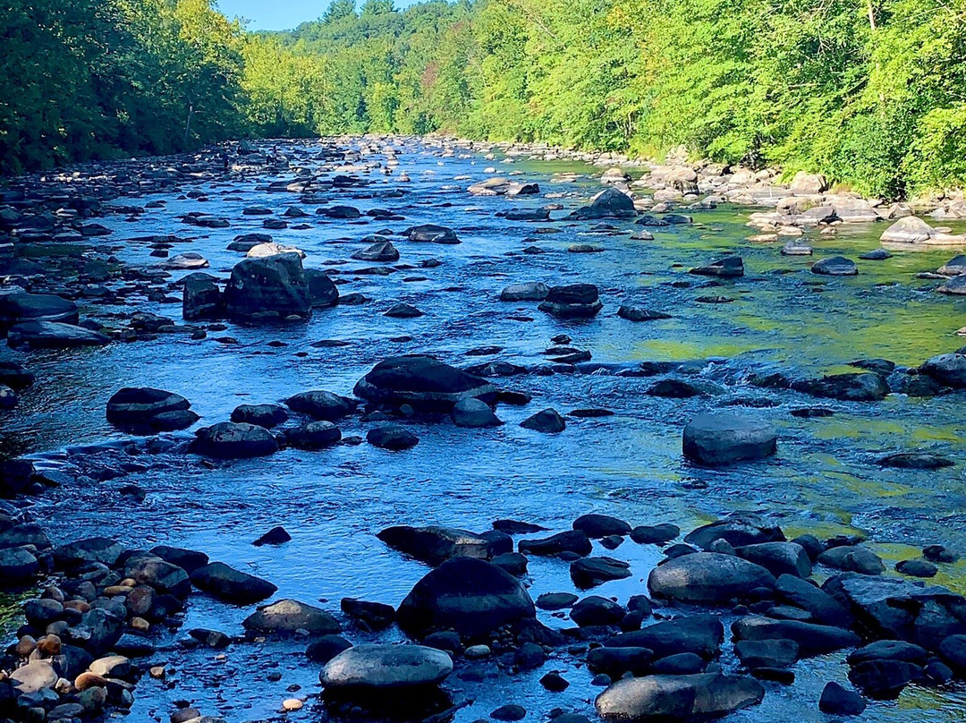 Farmington Canal Heritage Trail-Farmington必去景点