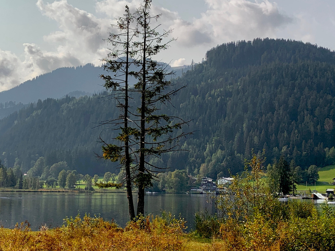 Hotel Metzgerwirt主图