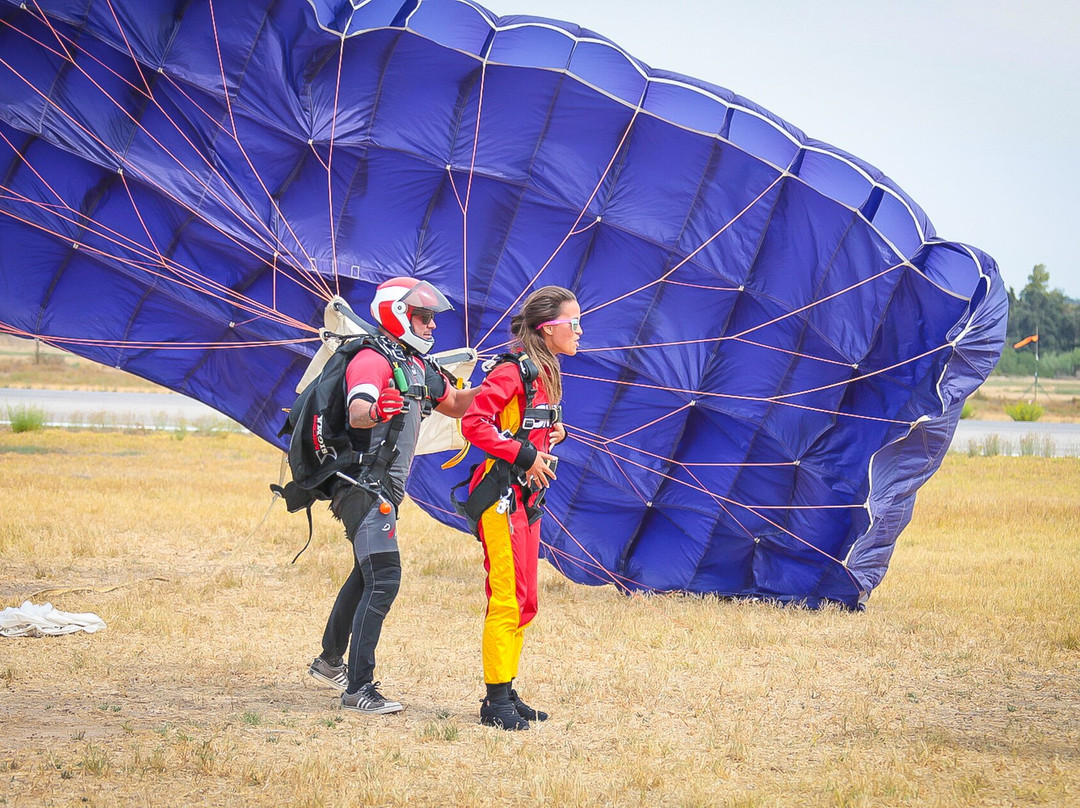 Skydive Seven景点图片