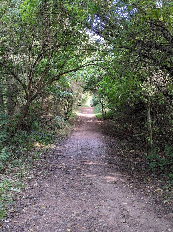 Birnie Loch-Collessie必去景点
