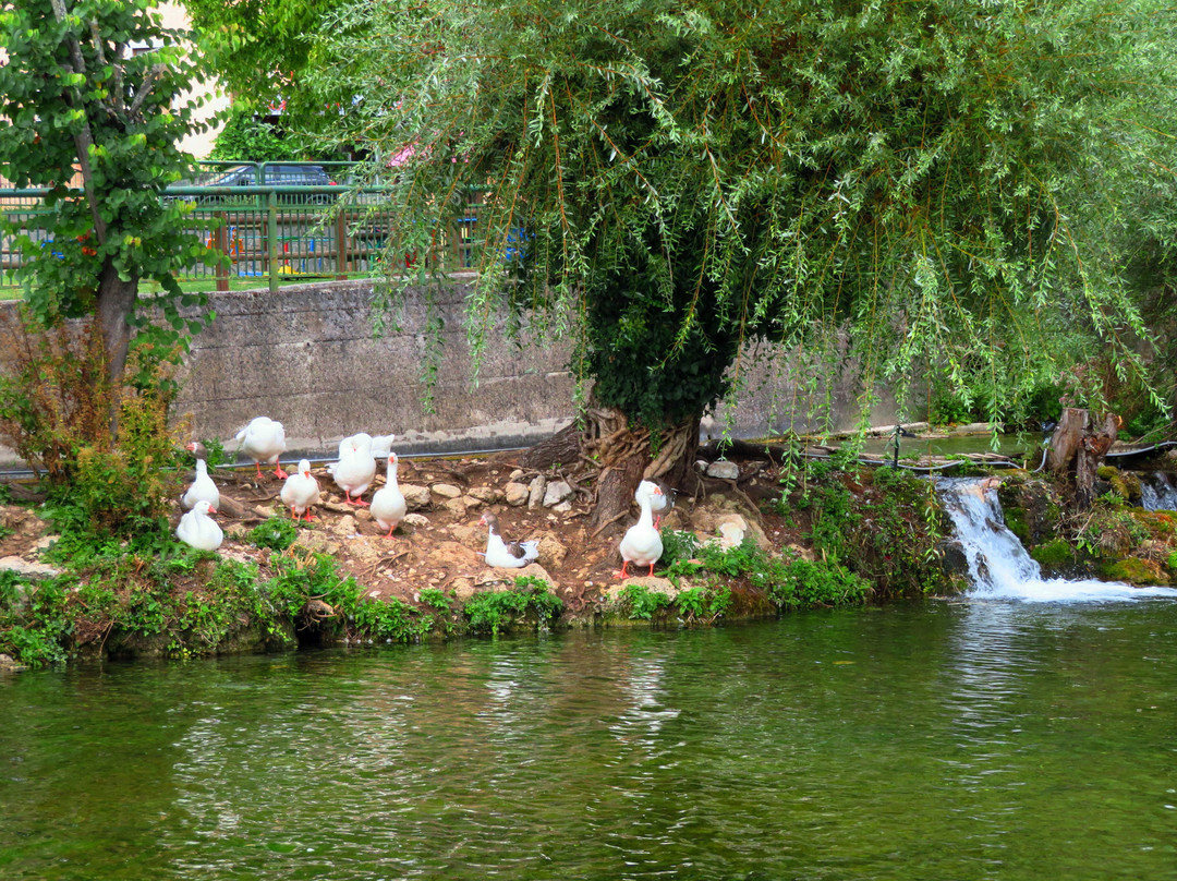 Lago dei Cigni景点图片