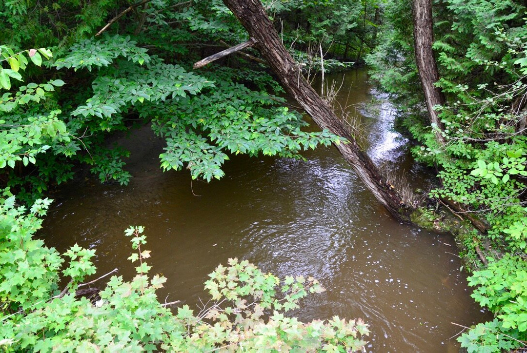 Oro-Medonte Rail Trail景点图片