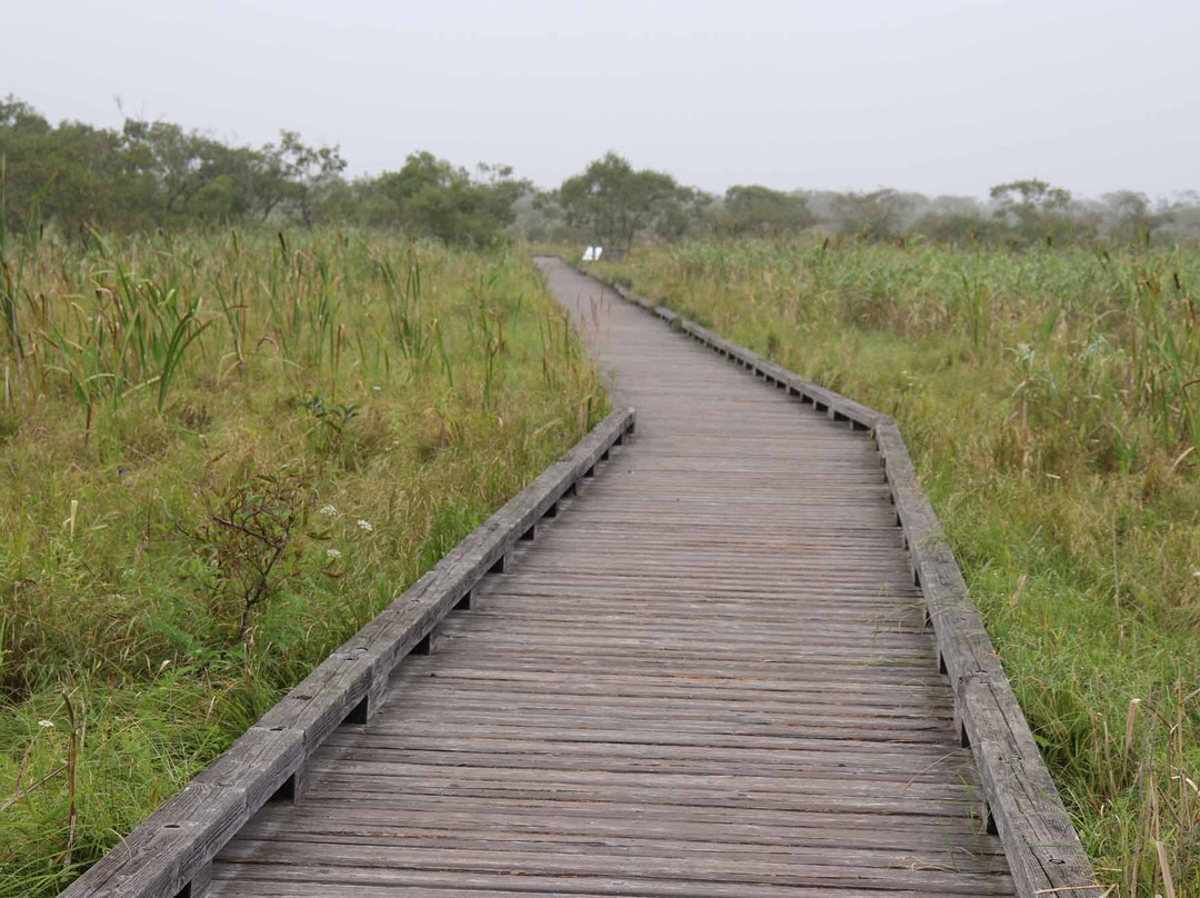 Onnenai Boardwalk-鹤居村必去景点