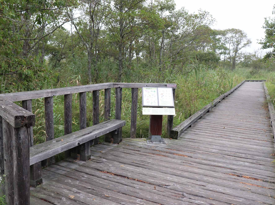 Onnenai Boardwalk-鹤居村必去景点
