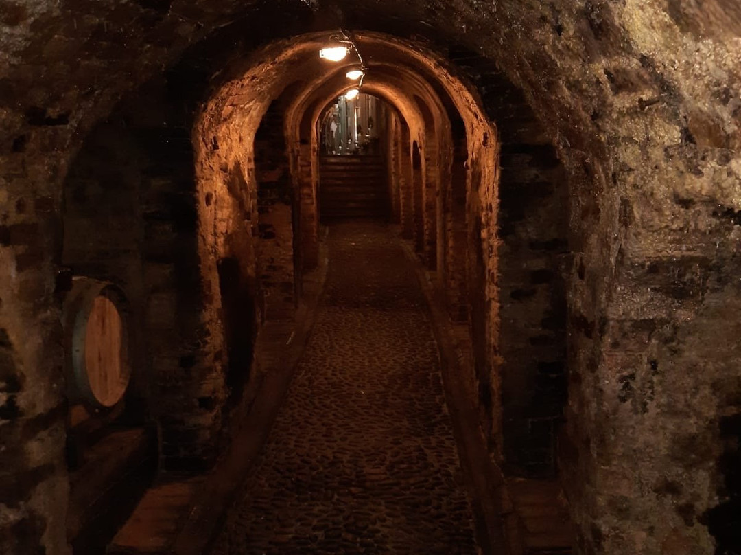Cantina Del Glicine-Neive必去景点