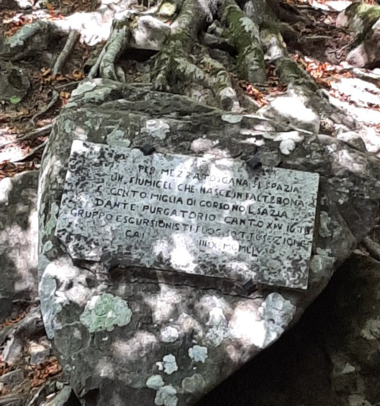 Parco Nazionale delle Foreste Casentinesi, Monte Falterona e Campigna景点图片