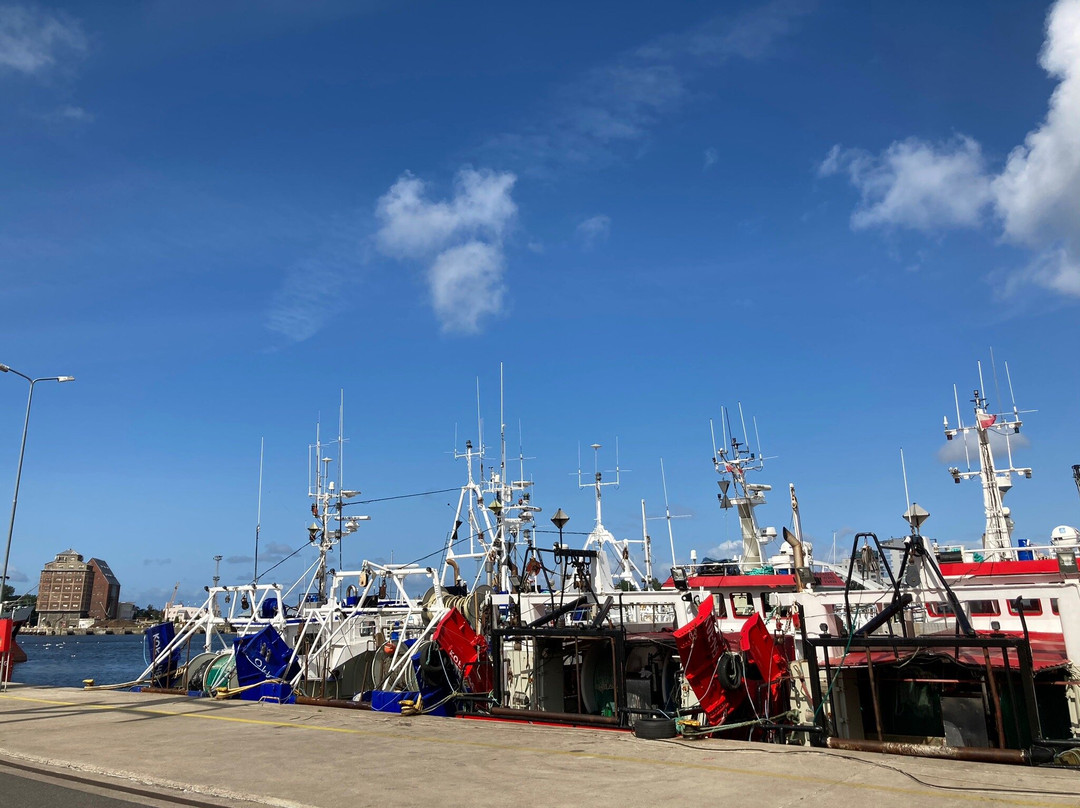 Kołobrzeg Port景点图片
