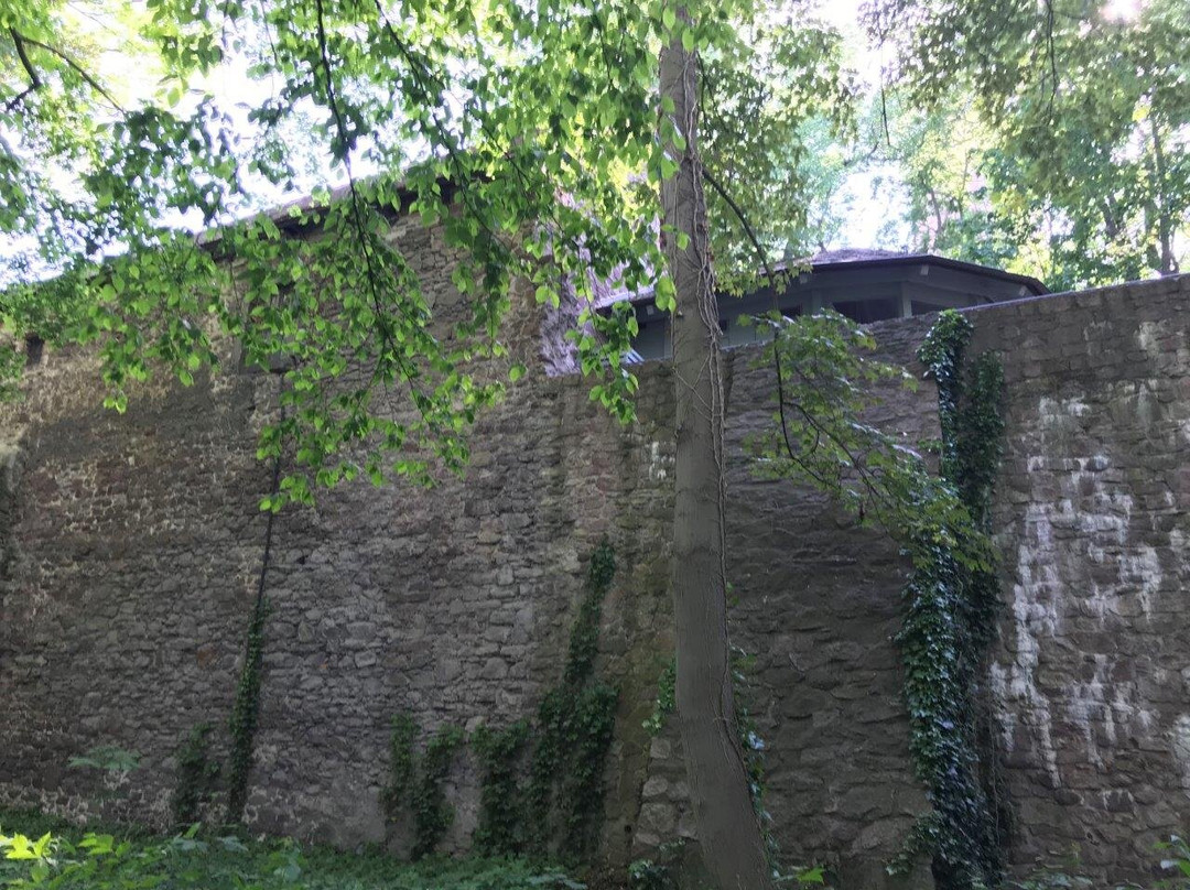 Oberburg Giebichenstein-哈雷必去景点