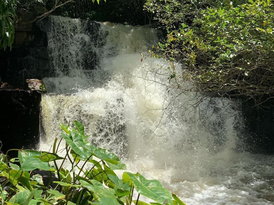 Paraqueira In Natura-Vicosa Do Ceara必去景点