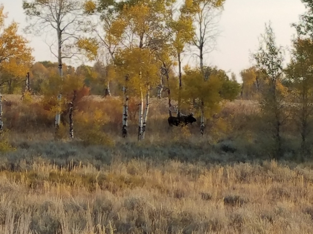 St. John's Episcopal Church-杰克逊必去景点