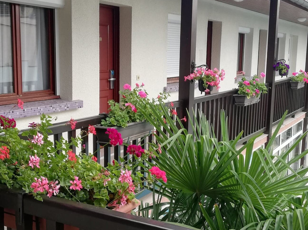 Logis Hôtel Au Tambour主图