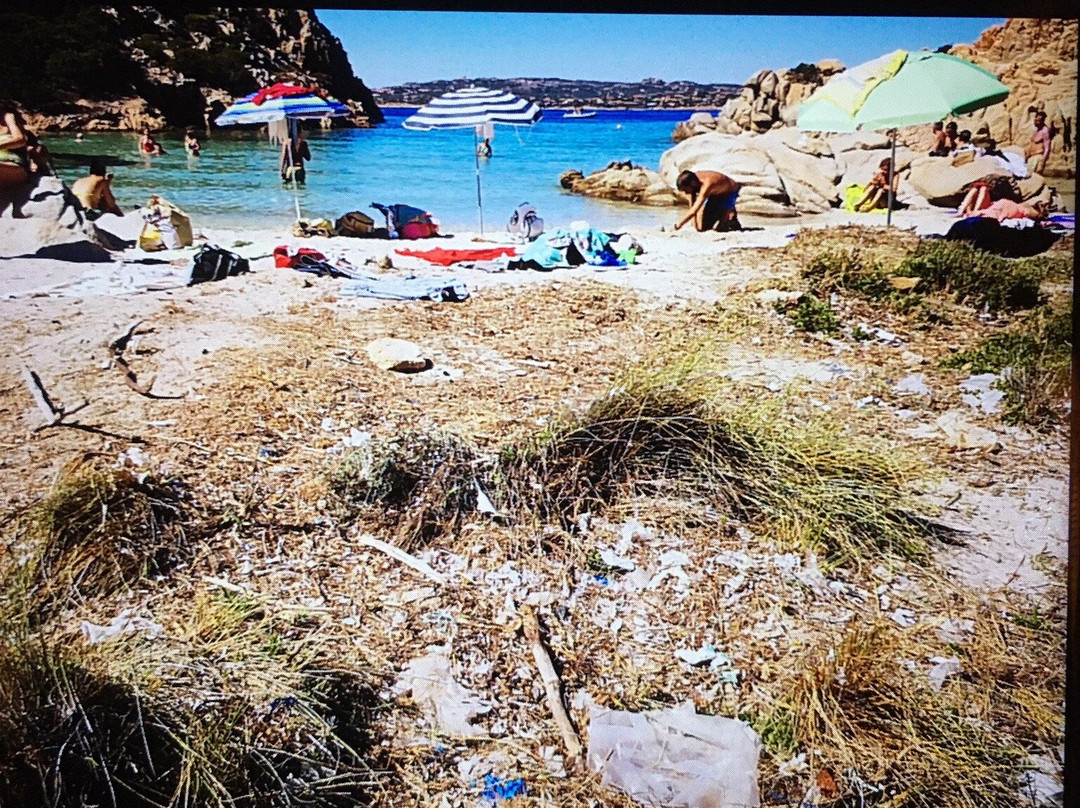 Cala Napoletana-Caprera必去景点