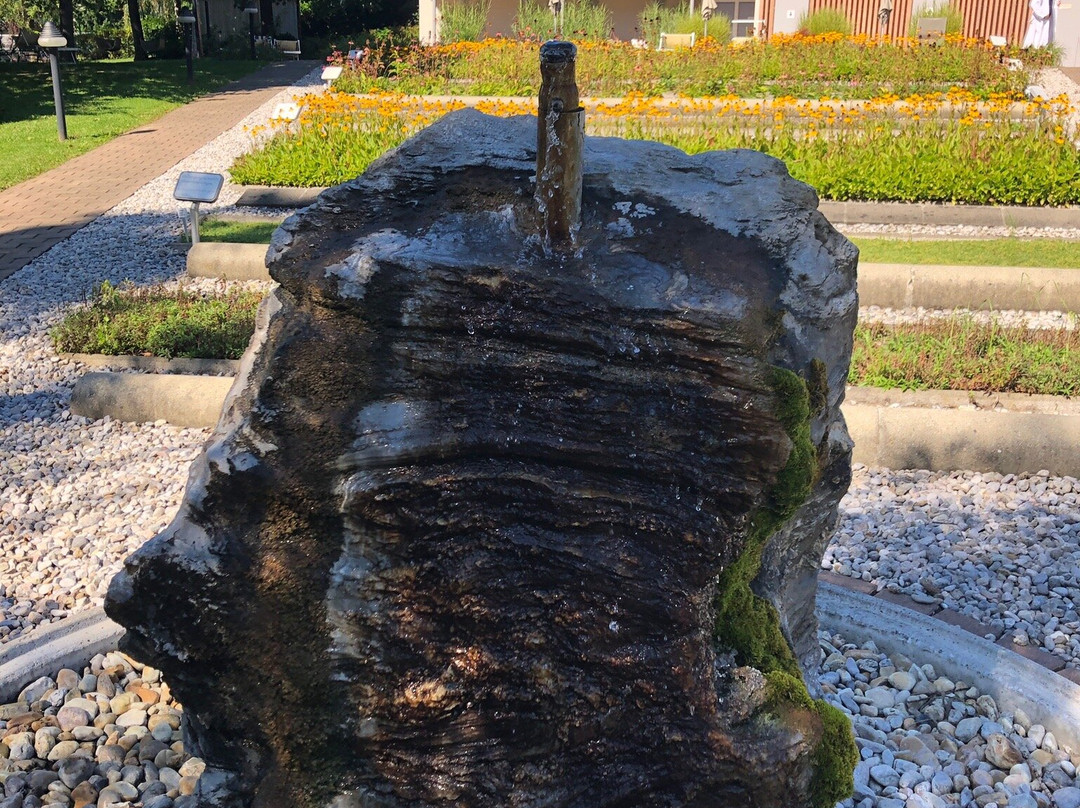 Heiltherme Bad Waltersdorf景点图片