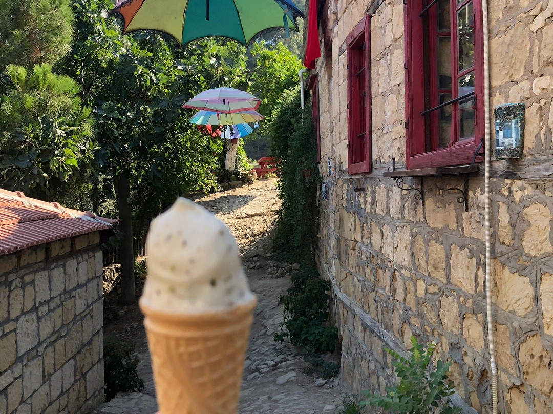Yesilyurt Sardunya Konak主图