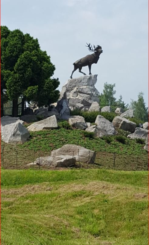 Mémorial Terre-neuvien De Beaumont-hamel景点图片