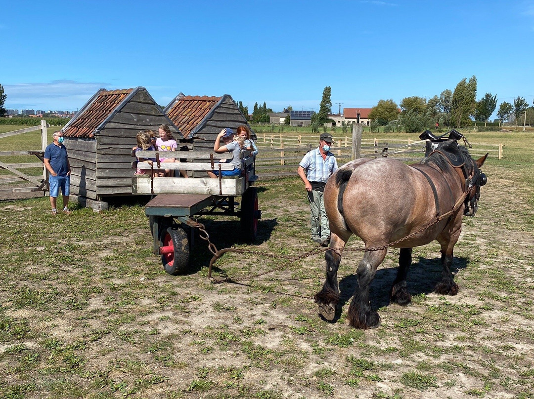 Kinderboerderij Lettenhof-Middelkerke必去景点