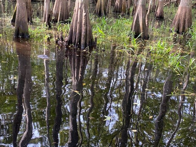 Switchgrass Outfitters & Airboat Tours-Christmas必去景点