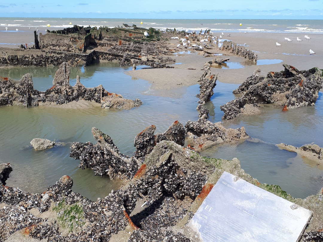 Plage de Zuydcoote景点图片