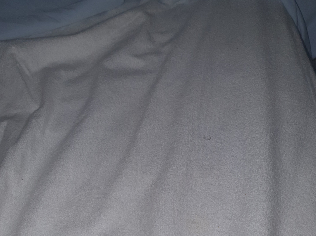 阿斯科纳酒店主图