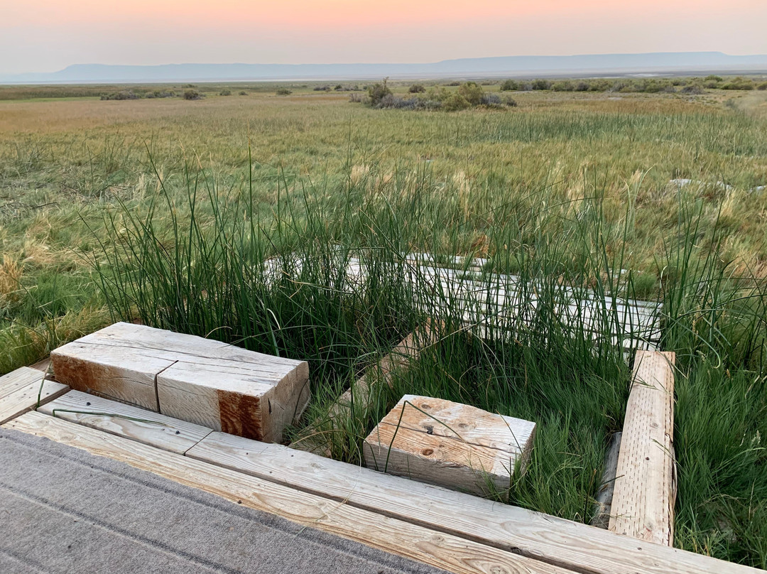 Alvord Hot Springs-New Princeton必去景点