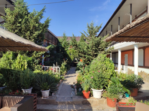 Family Pansion Muraveynik主图