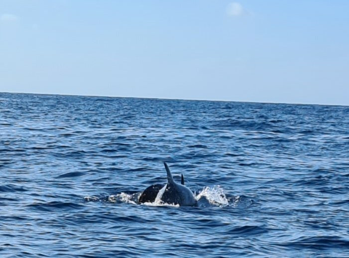 Embark-圣庞沙必去景点