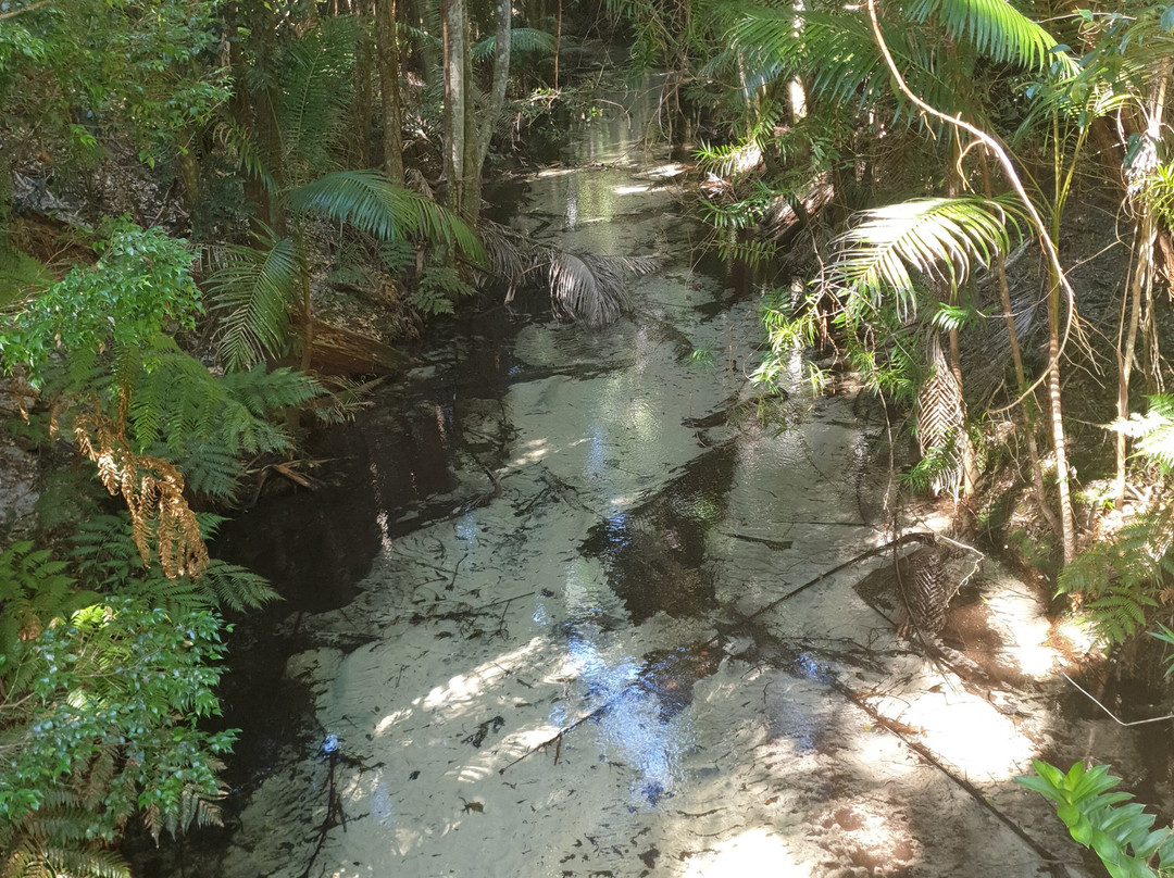 Sunrover Expeditions - Day Tours-斯卡伯勒必去景点