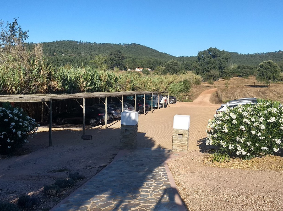 Naturarte Campo主图