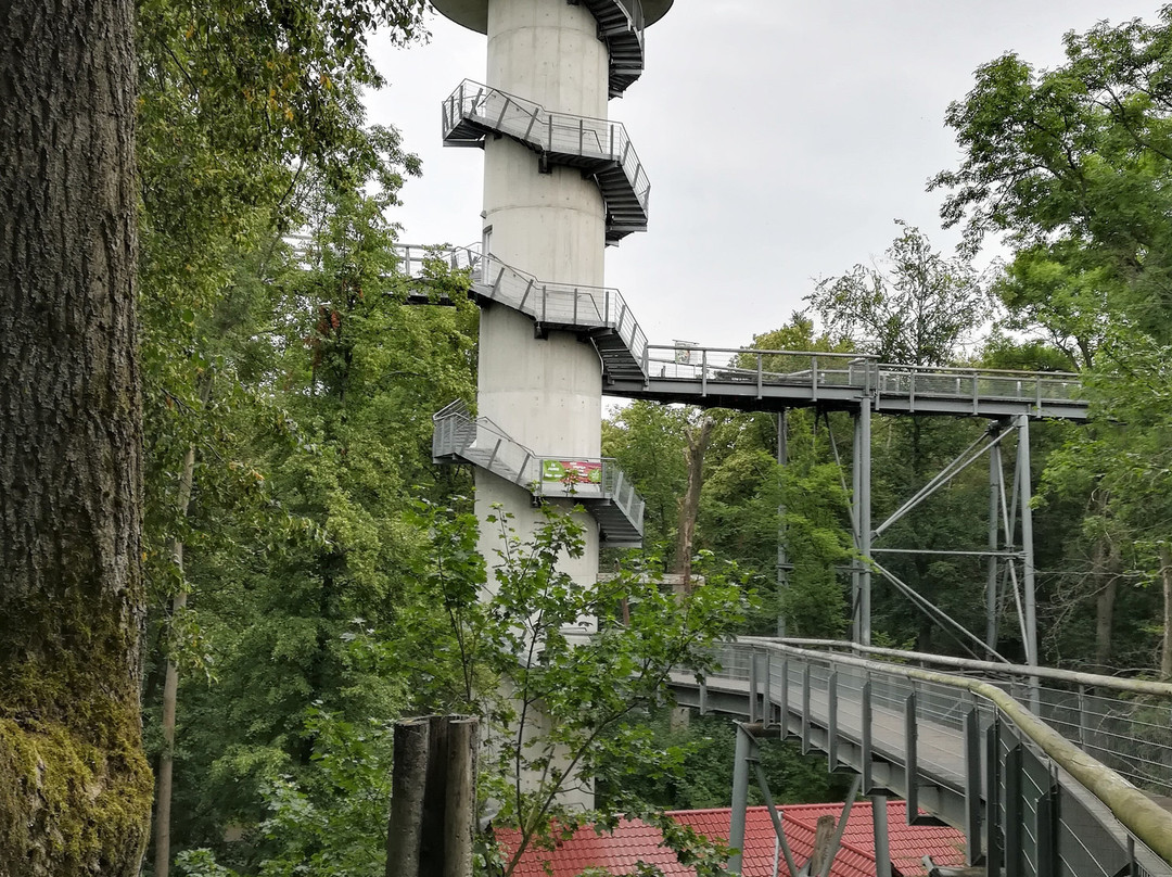 Baumkronenpfad-Bad Langensalza必去景点