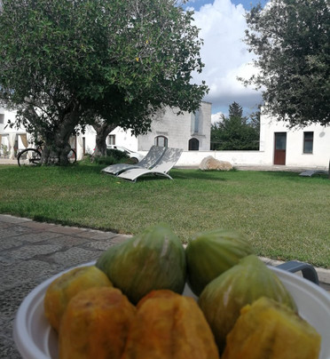 Masseria Pappo主图