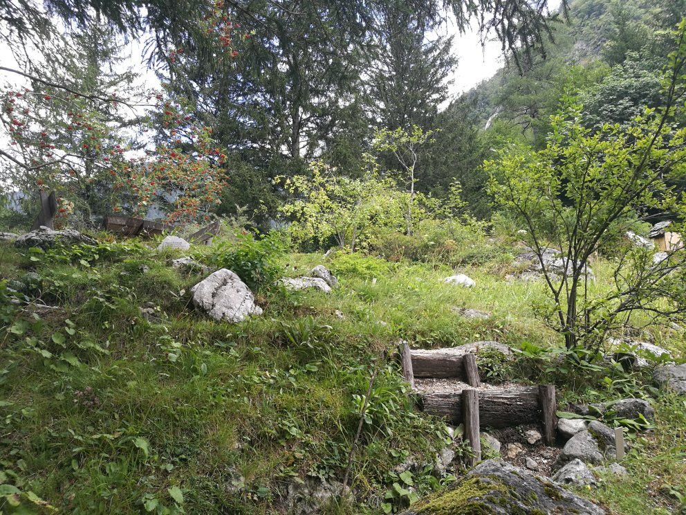 Alpine Botanical Garden Juliana景点图片