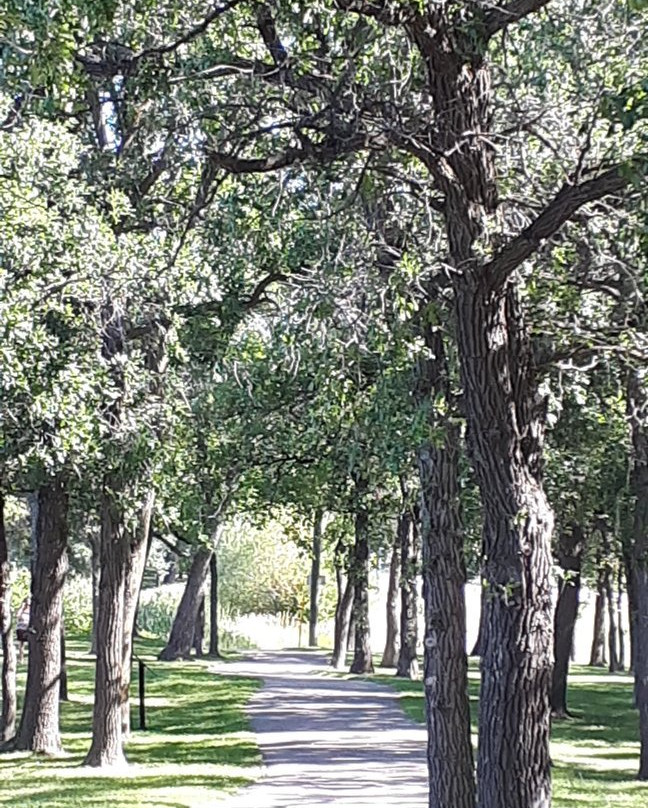 Erin Park-Killarney必去景点