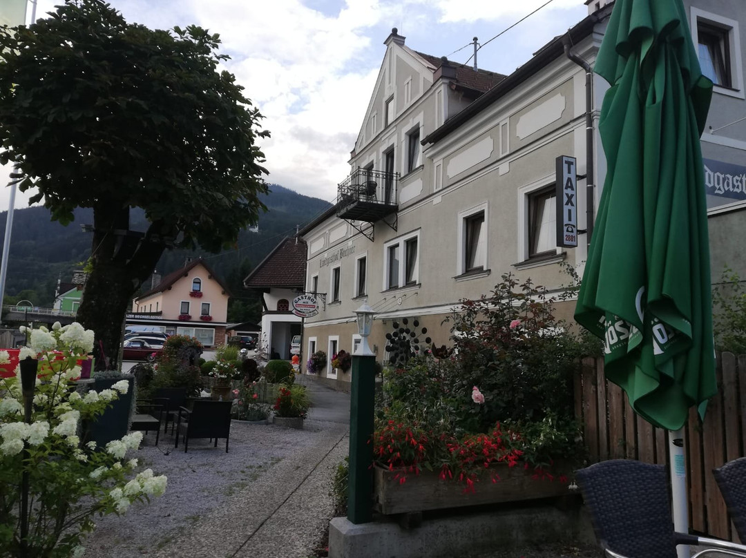 Johnsbach酒店住宿-Landgasthof Buchner