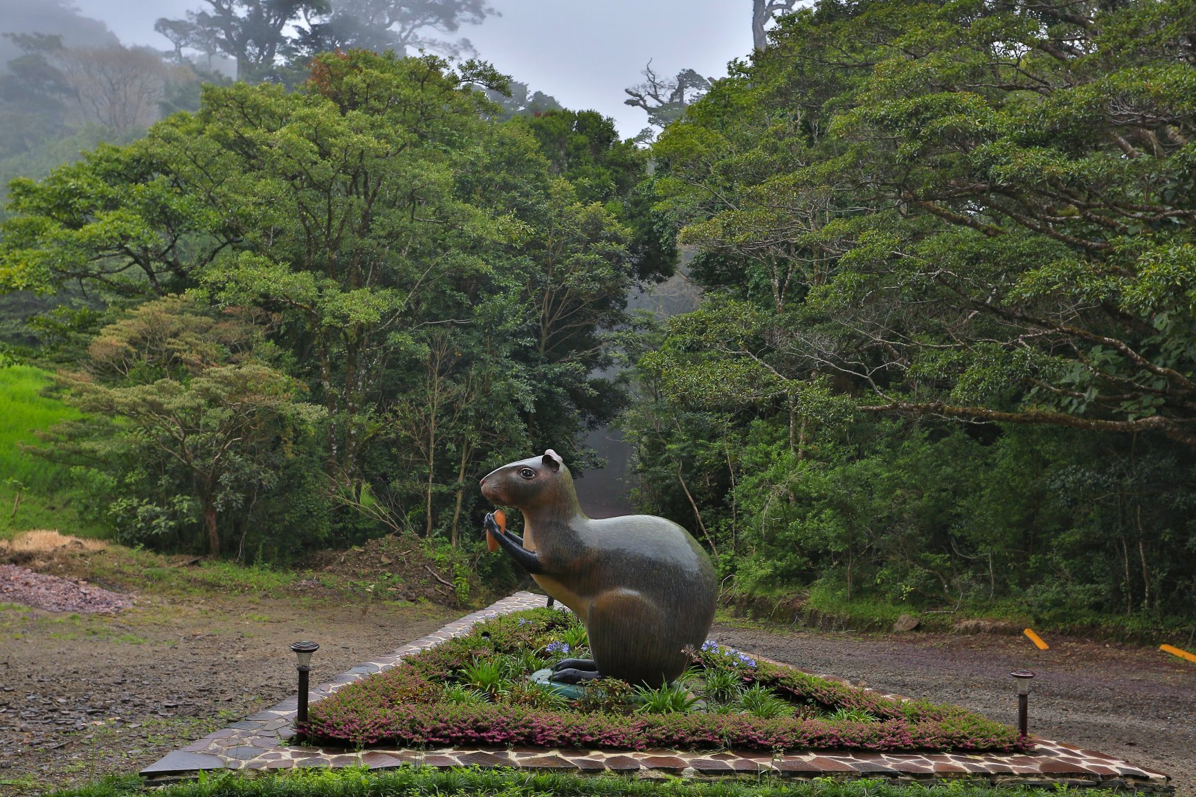 Senda Monteverde Hotel-官方