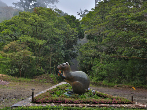 Senda Monteverde Hotel主图