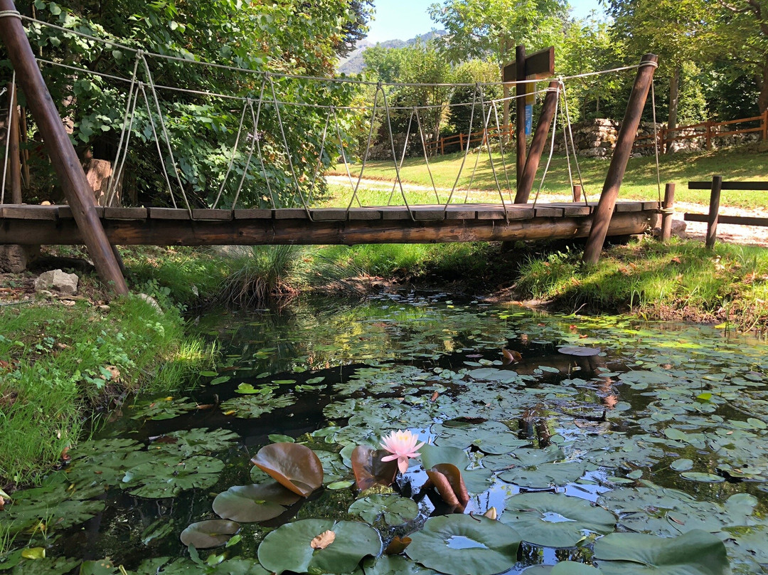 Giardino Vegetazionale "Astego"景点图片